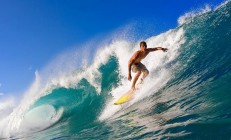 开云官方app入口-切特统治禁区，灰熊全面压制黄蜂提前锁定胜局