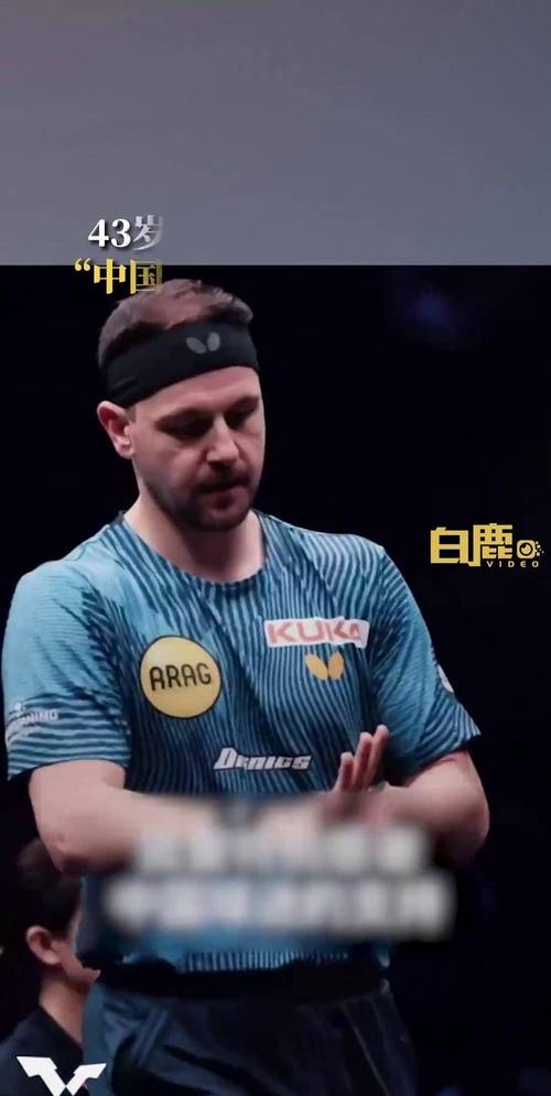 日本乒乓球队绝地反击波兰乒乓球队，波尔高光表现的简单介绍