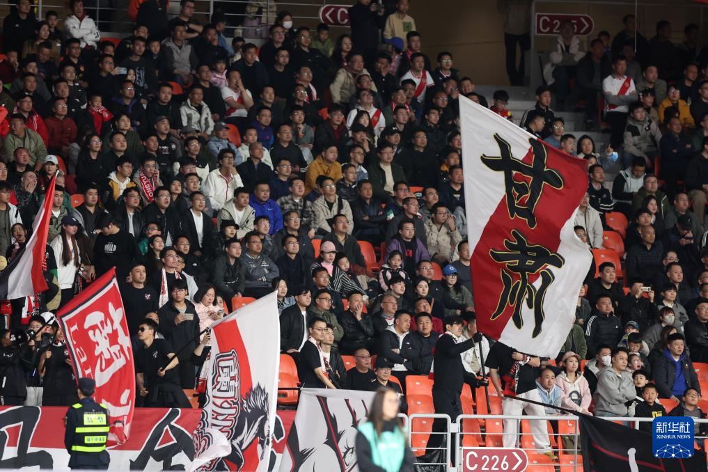 意甲比赛现场观众热心应援，声势浩大