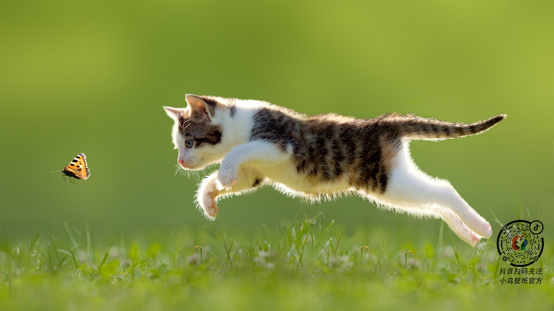 终场绝响,骑士逆转雄鹿,福克斯化身关键先生书写传奇之夜